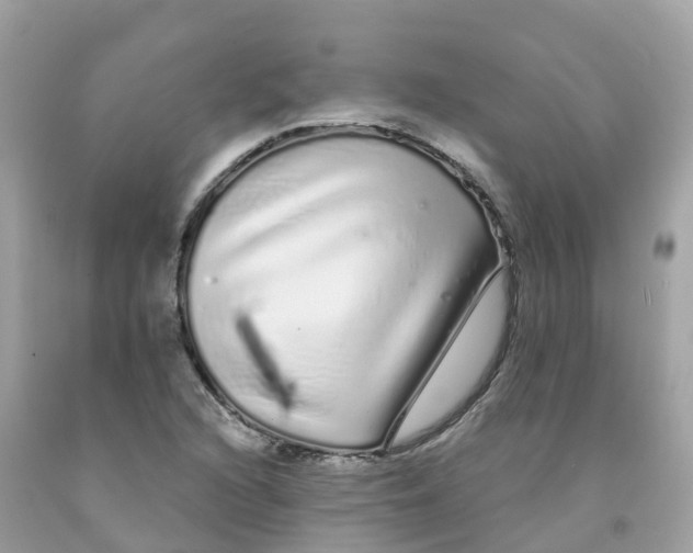 X0000091091216200709041255