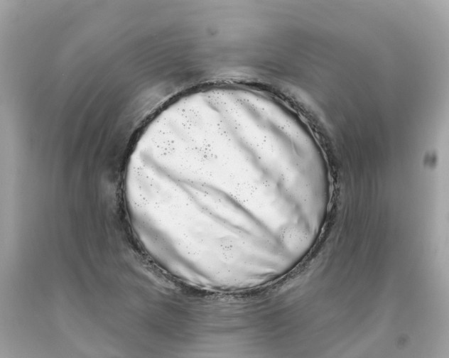 X0000091091217200709041255