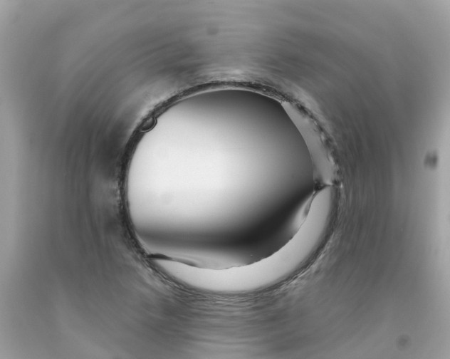 X0000091091218200709041255