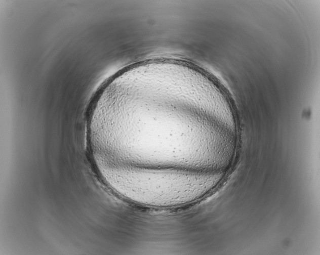X0000091091219200709041255