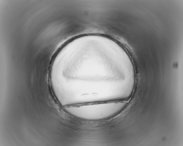 X0000091091220200709041255