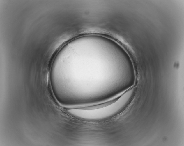 X0000091091221200709041255