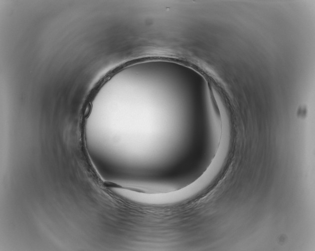 X0000091091222200709041255
