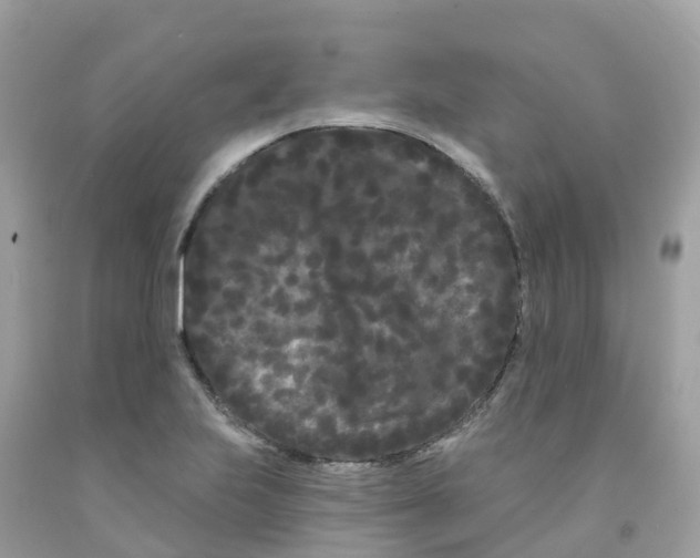 X0000091091223200709041255