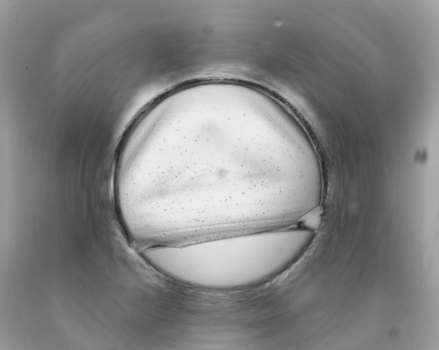 X0000091091224200709041255