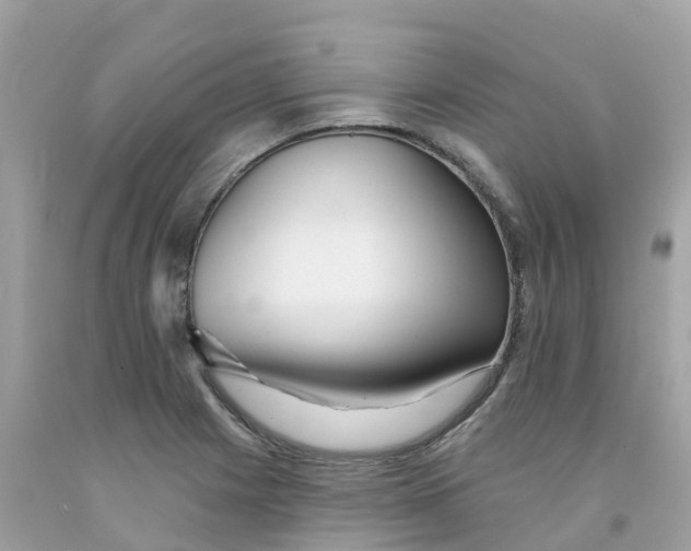 X0000091091225200709041255