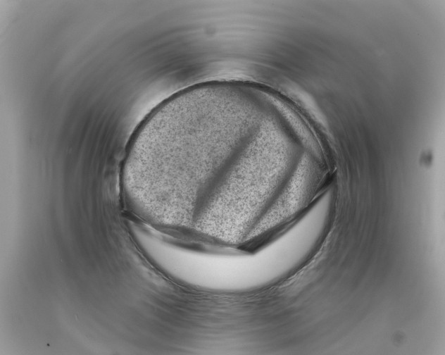 X0000091091226200709041255