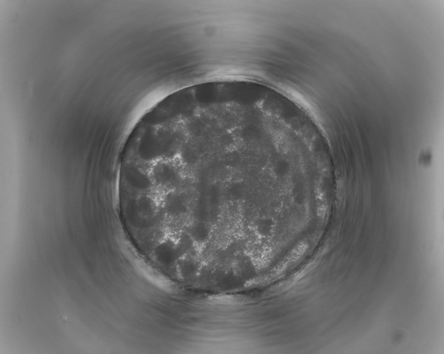 X0000091091227200709041255