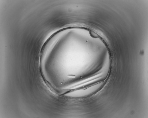 X0000091091228200709041255