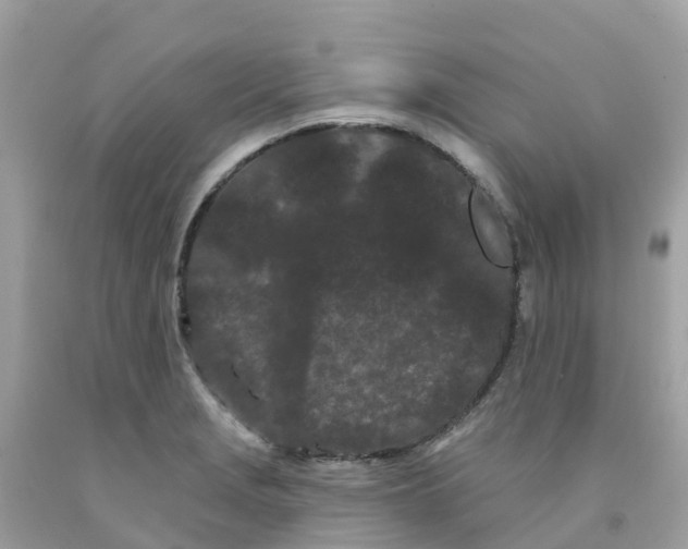 X0000091091229200709041255