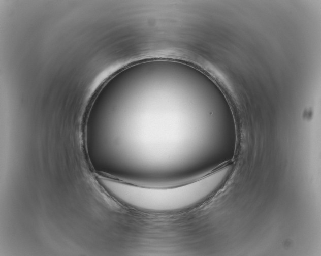 X0000091091230200709041255