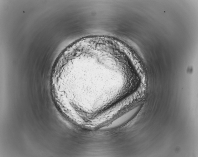 X0000091091231200709041255