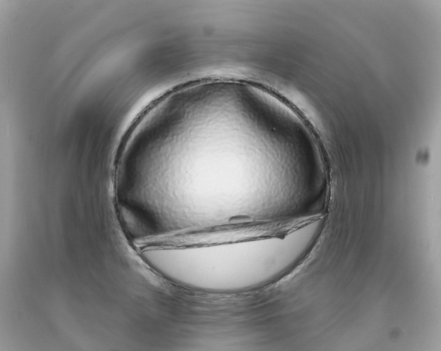 X0000091091232200709041255