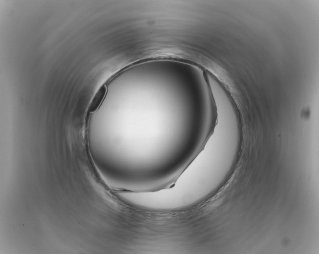 X0000091091234200709041255