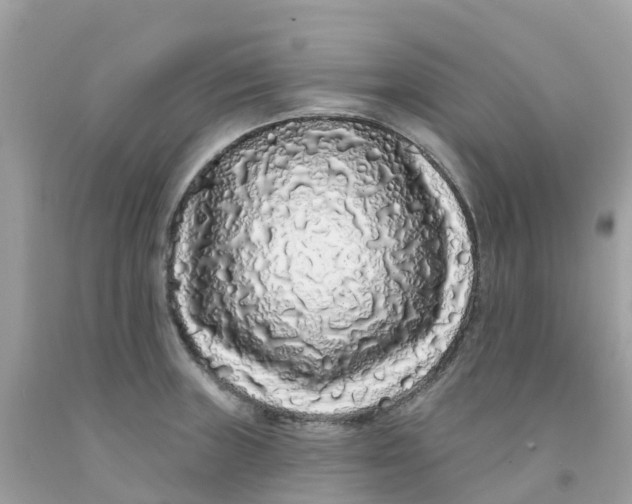 X0000091091235200709041255