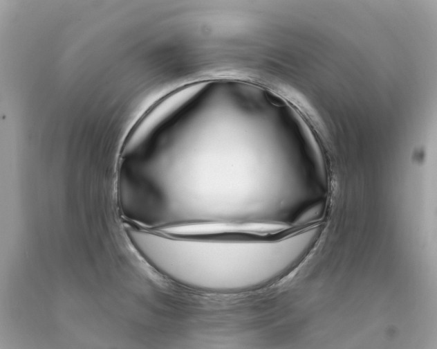 X0000091091236200709041255