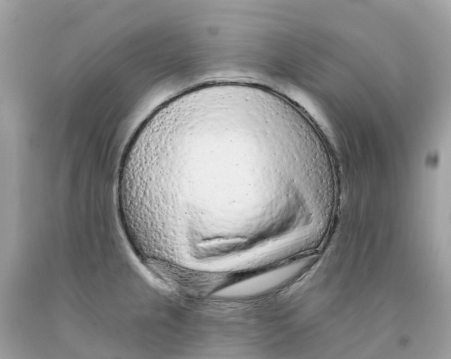 X0000091091237200709041255