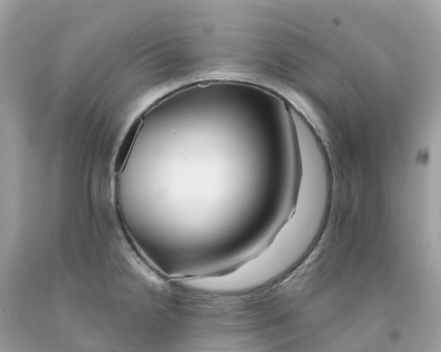 X0000091091238200709041255