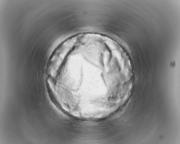 X0000091091239200709041255