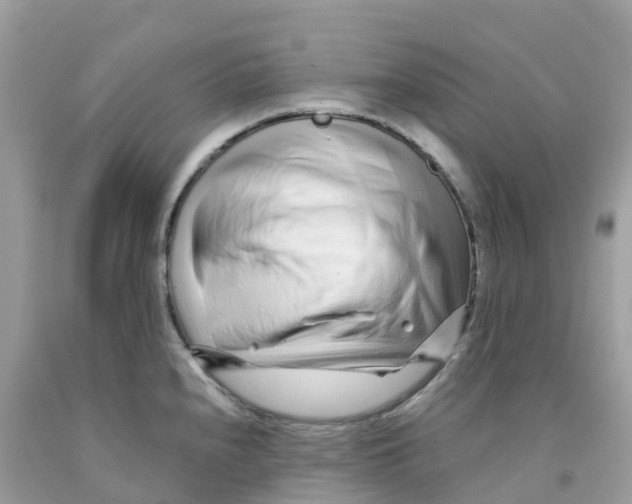 X0000091091240200709041255