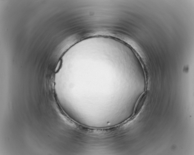 X0000091091241200709041255