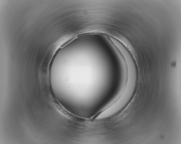 X0000091091242200709041255