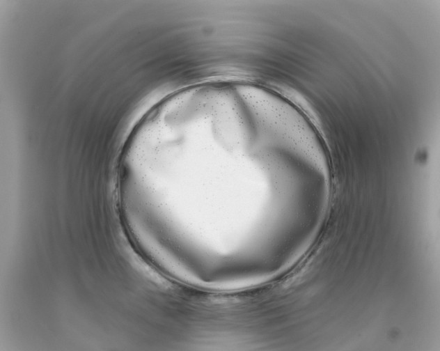 X0000091091243200709041255