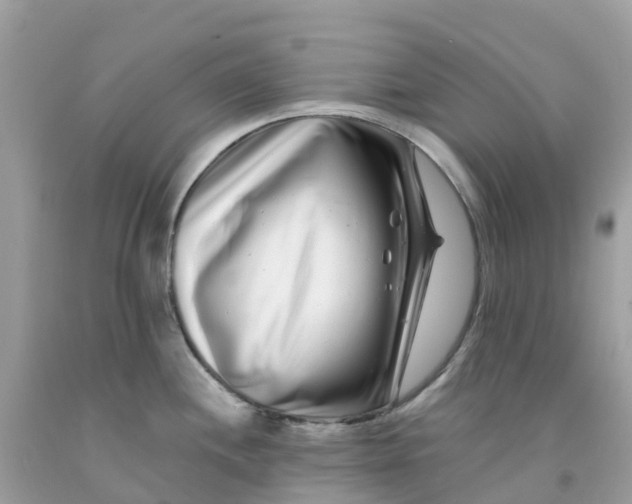 X0000091091244200709041256