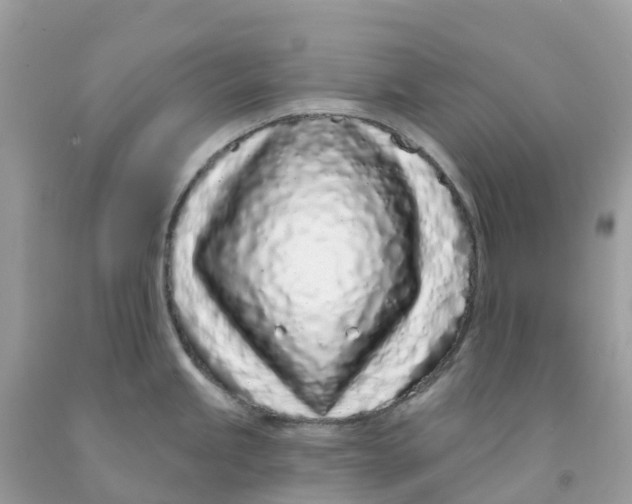 X0000091091245200709041256