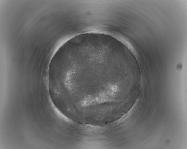 X0000091091247200709041256