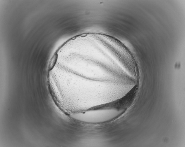 X0000091091248200709041256