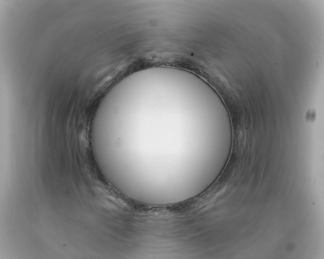 X0000091091250200709041255