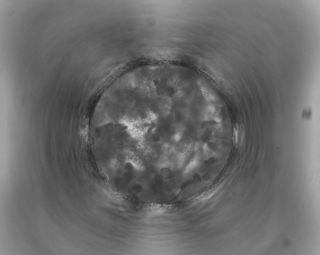 X0000091091251200709041255