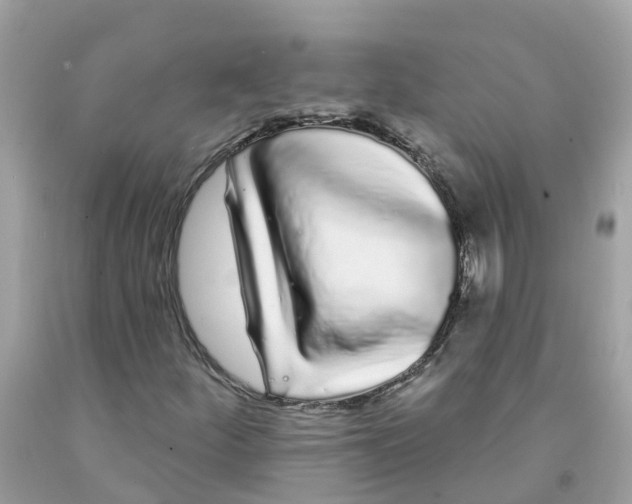 X0000091091252200709041255