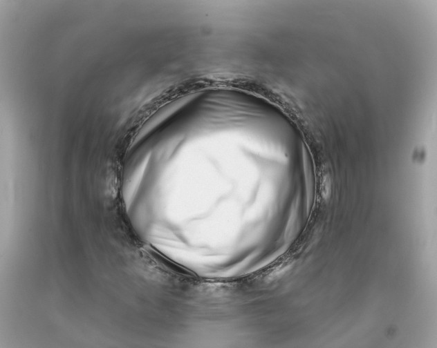 X0000091091253200709041255