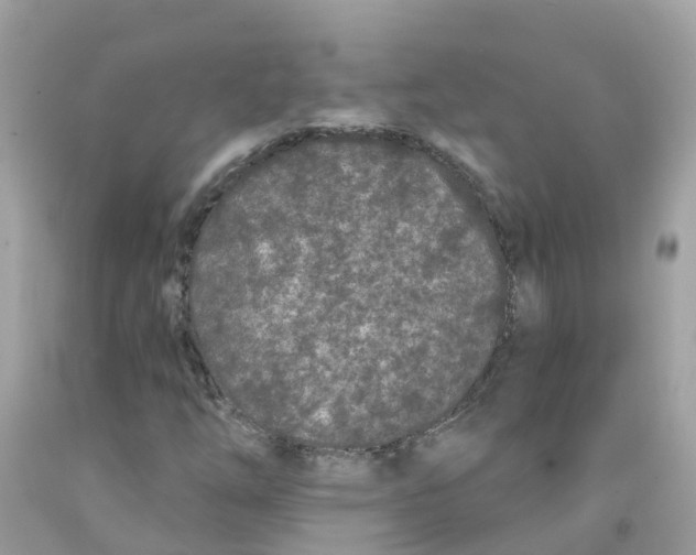 X0000091091254200709041255