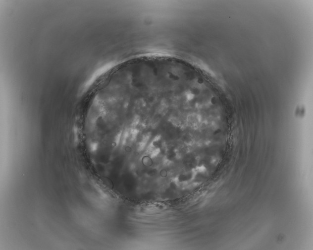 X0000091091255200709041255