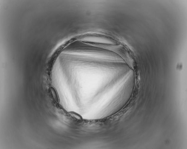 X0000091091256200709041255