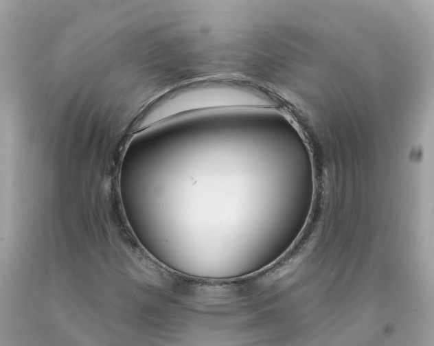 X0000091091257200709041255