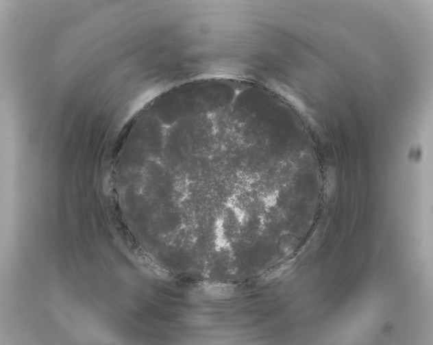 X0000091091258200709041255