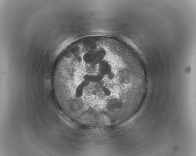 X0000091091259200709041255