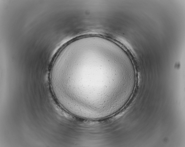 X0000091091260200709041255