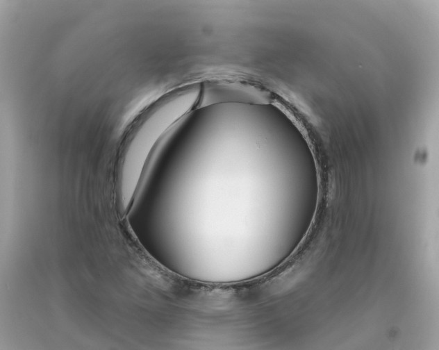 X0000091091261200709041255