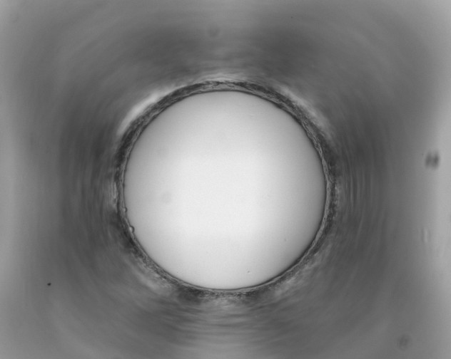 X0000091091262200709041255