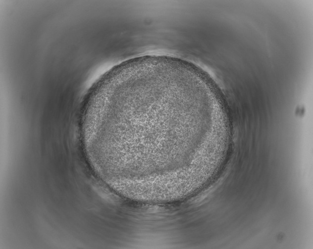 X0000091091263200709041255