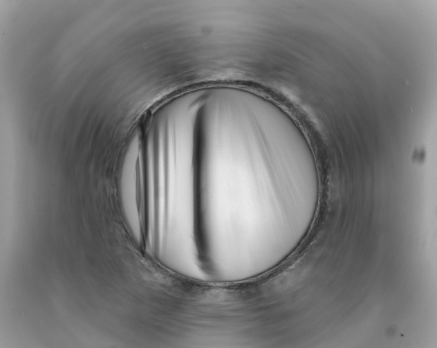 X0000091091265200709041255