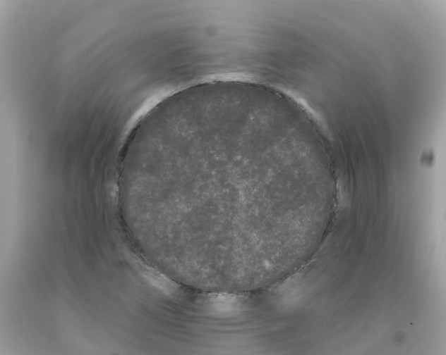 X0000091091266200709041255