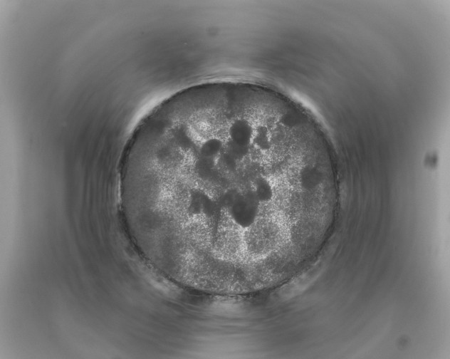 X0000091091267200709041255