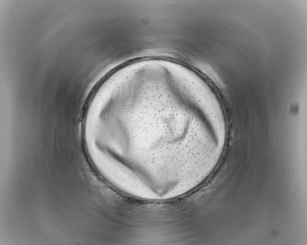 X0000091091268200709041255