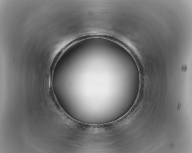 X0000091091269200709041255